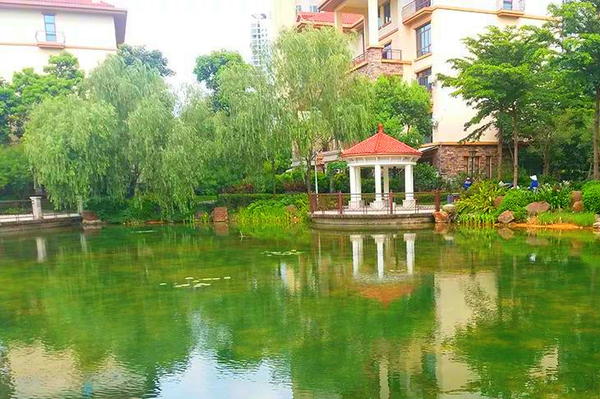 星湖小區(qū).jpg