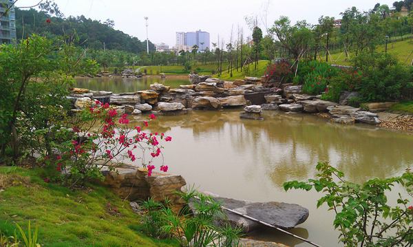 IMAG1079.jpg